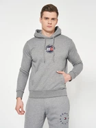 Худи мужское Tommy Hilfiger 10949.2 2XL Серое