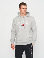 Худи мужское Tommy Hilfiger 11209.2 S Серое