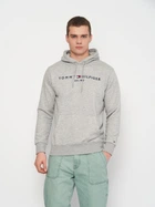 Худи мужское Tommy Hilfiger 11262.5 L (48) Серое (2000000004952)
