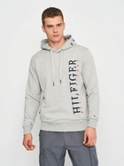 Худи мужское Tommy Hilfiger 11212.2 M Серое