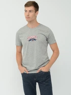Футболка хлопковая длинная мужская Tommy Hilfiger 10022.2 S Серая