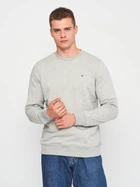 Свитшот мужской Tommy Hilfiger 11202.2 2XL Серый