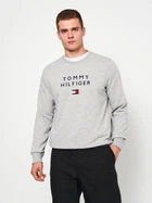 Свитшот мужской Tommy Hilfiger 11203.2 S Серый