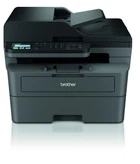 БФП Brother MFC-L2802DN (MFCL2802DNAP1)