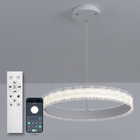 Светильник LED подвесной LUMINARIA ERIKA 65W R485 WHITE с пультом