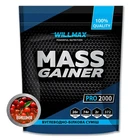 Гейнер для набору маси Willmax Mass Gainer