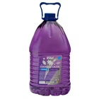 Омивач скла зимовий VITOL "-20" Лісова Ягода 4,5л