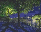 Картина за номерами. Art Craft Нічний парк 40х50 см 10585-AC