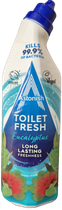 Гель для чистки унитаза Astonish Toilet Fresh с ароматом эвкалипта 750 мл