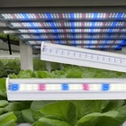 Фітолампа для рослин T8-D LED 18W 60 см повний спектр (4000K + 450nm + 660nm) — для росту та підсвітки рослин