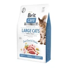 Сухий корм для кішок Brit Care Cat Grain Free Large Power Vitality