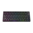 Клавіатура бездротова Hator Icefall Pro RGB Black (HTK450UA)