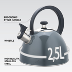 Чайник нержавеющий Maestro 2.5л серый (MR-1302-GREY)