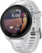 Смарт-часы Garmin Forerunner 165 Mist Gray/Whitestone (010-02863-21/A1)