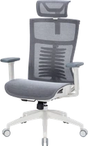 Крісло офісне OfficePro Balance OC620-W-DG-DG