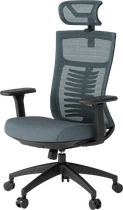 Крісло офісне OfficePro Balance OC550-B-DG-DG
