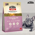 Сухой гипоаллергенный корм для собак всех пород ACANA Grass-Fed Lamb