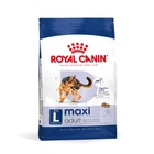 Сухий корм Royal Canin Maxi Adult для собак великих порід старше 15 місяців
