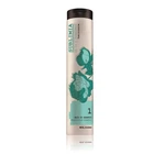 Питательный шампунь 10 в 1 для волос Elgon Sublimia Hair DD Shampoo 250 мл