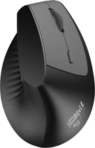 Миша Ajazz i300 Black (i300-B)