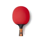 Ракетка для настольного тенниса Butterfly Timo Boll Comfort FL (6110170005) (931845)