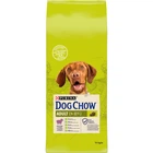 Сухий корм для дорослих собак Purina Dog Chow Adult зі смаком ягняти