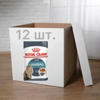 Вологий корм для кішок Royal Canin Hairball Care 85 г