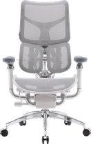 Крісло офісне Sihoo DORO S300 Mesh Light Grey