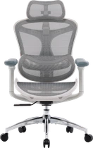Крісло офісне Sihoo DORO C300L Mesh White