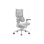 Офісне крісло Sihoo DORO S300 Mesh Light Grey (S300-M202) Sihoo S300-M202 928820