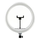 Лампа Fill Light 30cm (QX-300) Чорний