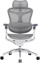 Sihoo Doro C300 Pro Mesh White