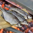 Густера в'ялена 1кг,ТМ"Elite Fish"(10-15 шт/кг)