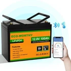 Акумулятор літий-залізо-фосфатний ECO-WORTHY 12,8 V 100Ah LiFePO4 з Bluetooth
