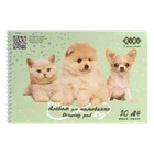 Альбом А4 20арк спіраль 120г/м FRIENDS ZIBI