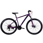 Велосипед Discovery 29" TREK DD рама-19" ST 2025 фіолетовий (OPS-SP-29-078)