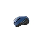 Мишка Canyon CNS-CMSW01BL Wireless Black/Blue
