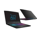 Ноутбук MSI Katana 17 i5-13420H/16GB/512 RTX4050 144Hz (Katana 17 | B13VEK-1449XPL)