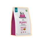 Сухой корм для щенков Brit Care GF Puppy Salmon & Potato