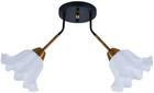 Люстра VALESO XL25003-2 для спальни, прихожей