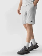 Шорти Shorts Cas M284 4FWSS24TSHOM284-27M 4F L Сірий 4FWSS24TSHOM284-27M S