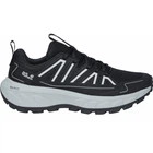 Кроссовки Jack Wolfskin Wild Hike Low W 37.5 Черный/Серый (1109-4064886675758)