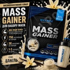 Гейнер для набору маси Willmax Mass Gainer