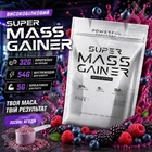 Гейнер Powerful Progress Super Mass Gainer