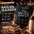 Гейнер Powerful Progress Carbo Mass Gainer
