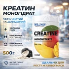 Креатин Willmax Creatine Monohydrate