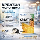 Креатин Willmax Creatine Monohydrate