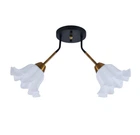 Люстра потолочная Light House SRS-20529/2 BK черная + медь, плафоны белые