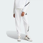 Жіночі спортивні штани adidas Z.N.E. adidas JE7843 (XL) білий (4067896030944)