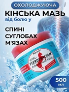 Конский гель бальзам для суставов охлаждающий зелёный 500 мл Мазь лошадиная сила от боли в спине мышцах коленях ногах и отеков Pferdebalsam ментол камфора эвкалипт Германия от ревматизма радикулита растяжений ушибов для шеи и поясницы